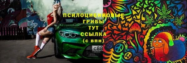 твердый Верхний Тагил