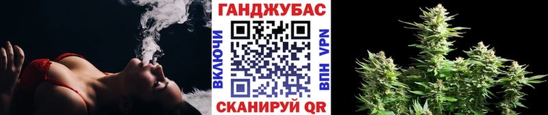Бошки Шишки планчик  Купить  Аткарск 